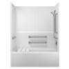 Freedom tub shower kits for ADA compliant bathrooms 