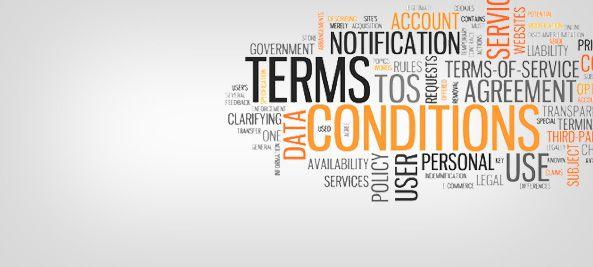 Purchase Terms & Conditions