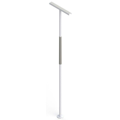 bariatric support pole for home