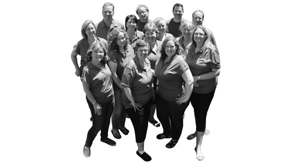 Accessibility Professionals Team